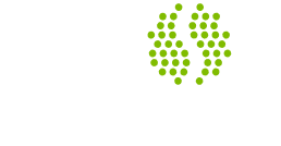 Partner 4